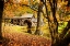 Picture of MABRY MILL II
