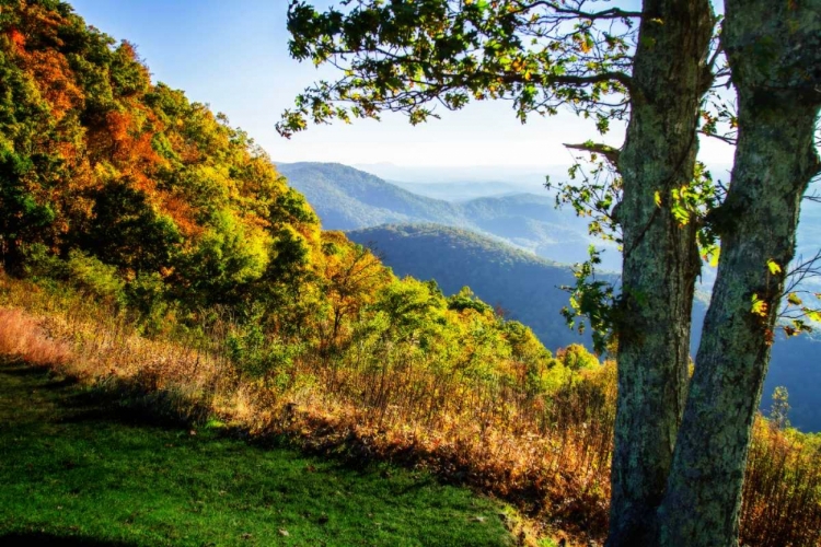 Picture of APPROACHING AUTUMN I