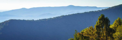 Picture of BLUE RIDGE MORNING I