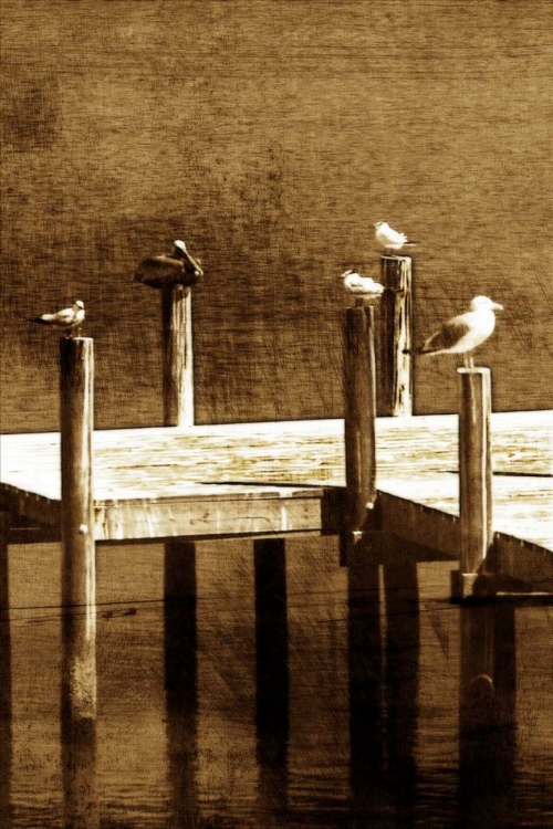 Picture of SEA BIRDS II