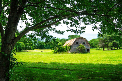 Picture of OLD DUTCH BARN