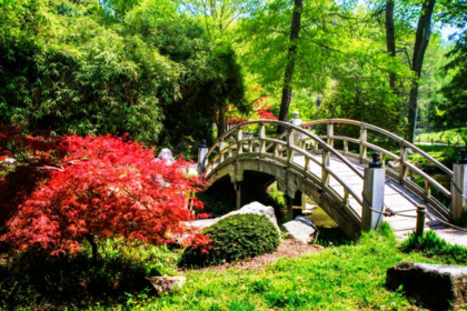 Picture of JAPANESE GARDEN IV