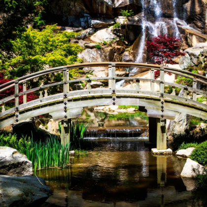 Picture of JAPANESE GARDEN V