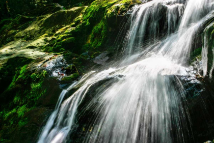 Picture of DARK HOLLOW FALLS II