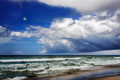 Picture of AWESOME BEACH DAY II