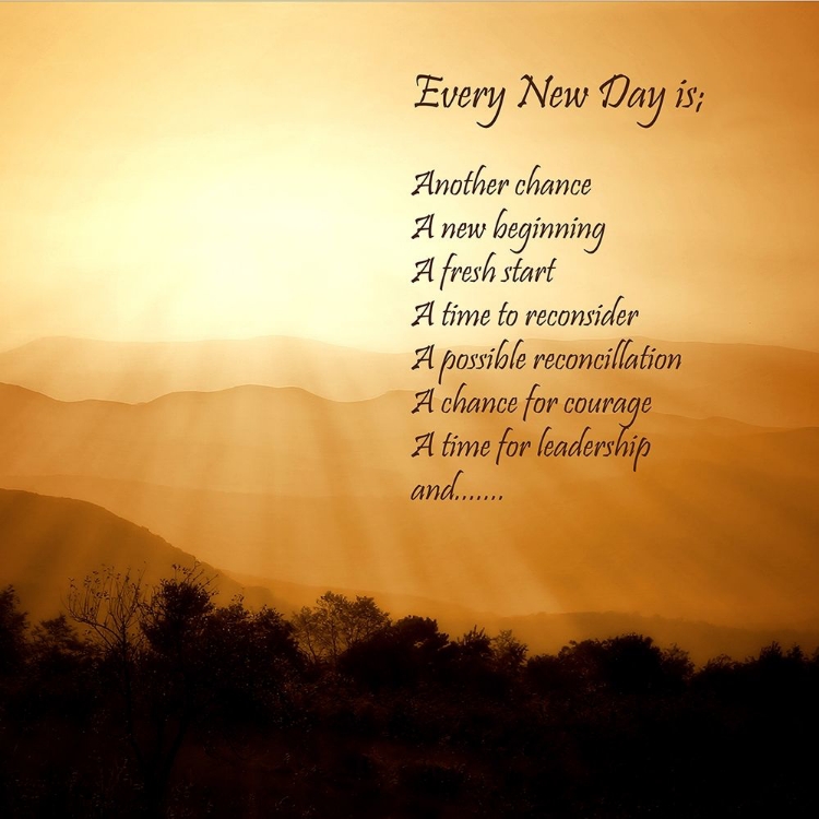 Picture of EVERY NEW DAY
