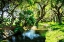 Picture of SAINT SIMONS WATERWAY