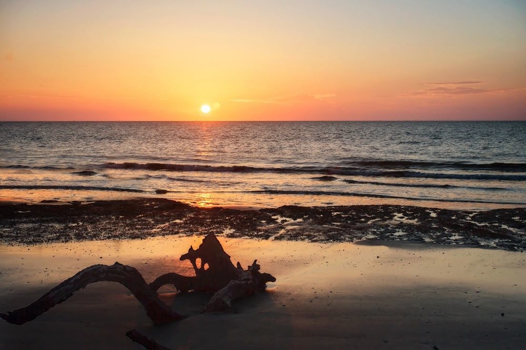 Picture of JEKYLL ISLAND SUNRISE II