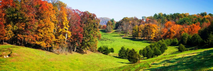 Picture of ROLLING AUTUMN HILLS I