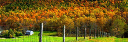 Picture of AUTUMN SPLENDOR I