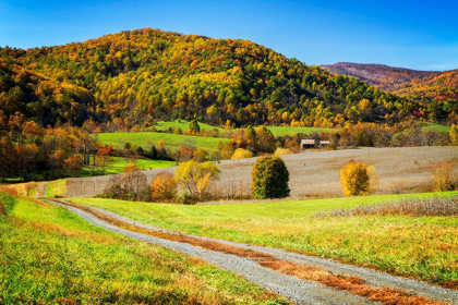 Picture of AUTUMN HILLS FARM