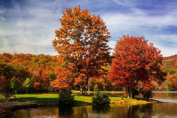 Picture of AUTUMN BY THE RIVER II