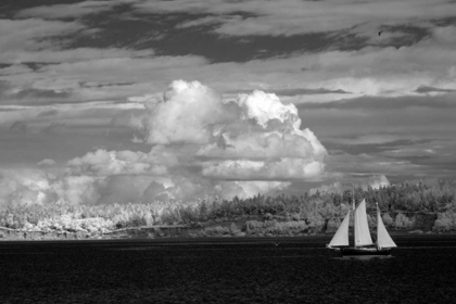 Picture of PORT TOWNSEND SAILBOAT I