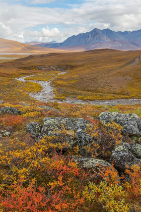 Picture of ARCTIC NATIONAL PRESERVE I