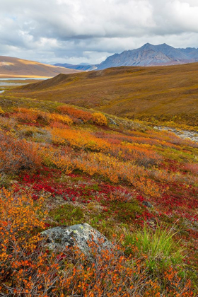 Picture of ARCTIC NATIONAL PRESERVE II