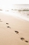 Picture of BEACH WALK
