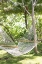 Picture of TROPICAL SIESTA
