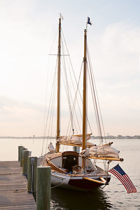 Picture of PATRIOTIC SAILING