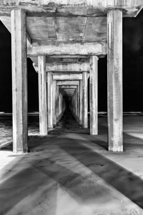 Picture of UNDER SCRIPPS PIER