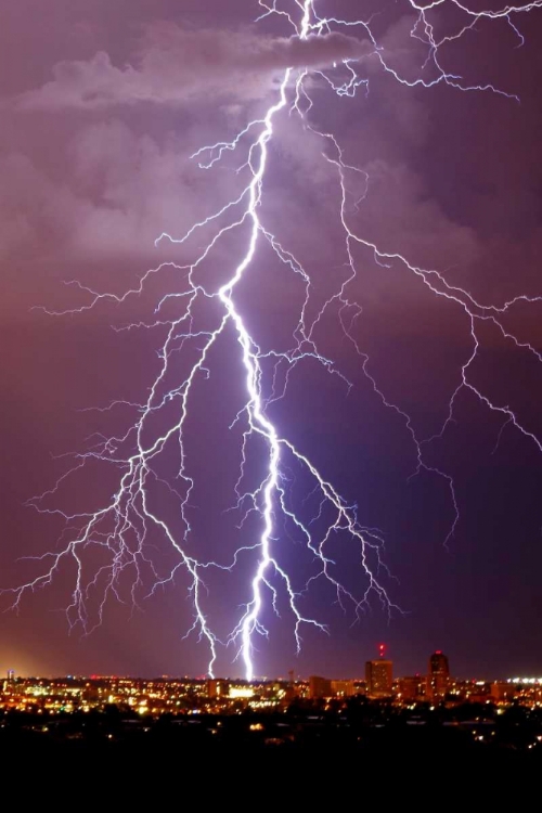 Picture of LIGHTNING PORTRAIT