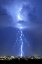 Picture of BLUE LIGHTNING