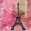 Picture of PINK PARIS