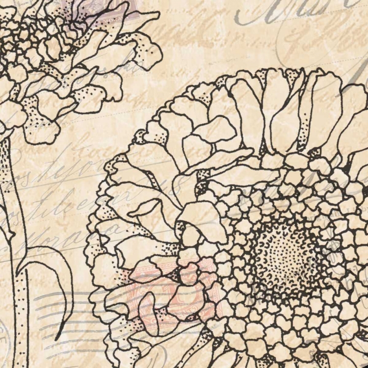 Picture of VINTAGE DAHLIAS I