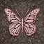 Picture of PINK BUTTERFLY IV