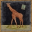 Picture of GIRAFFE