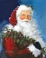 Picture of BERRY CHRISTMAS