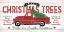 Picture of TRUCK AND TREE
