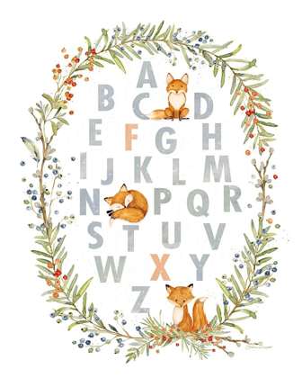 Picture of FOX ABCS