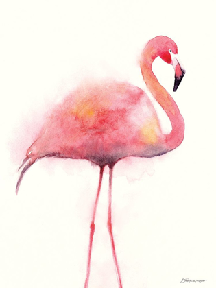 Picture of FLAMINGO II