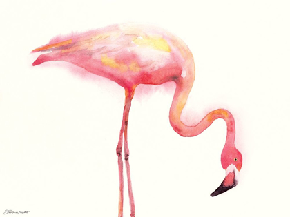 Picture of FLAMINGO III