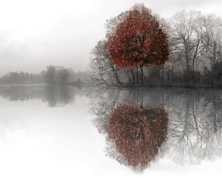 Picture of MIRROR LAKE