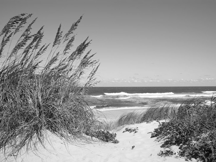 Picture of DUNE PATH