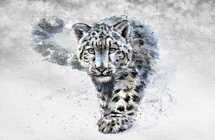 Picture of SNOW LEOPARD