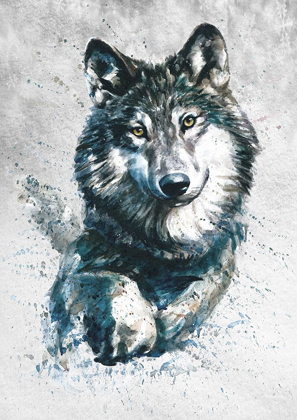 Picture of WOLF  