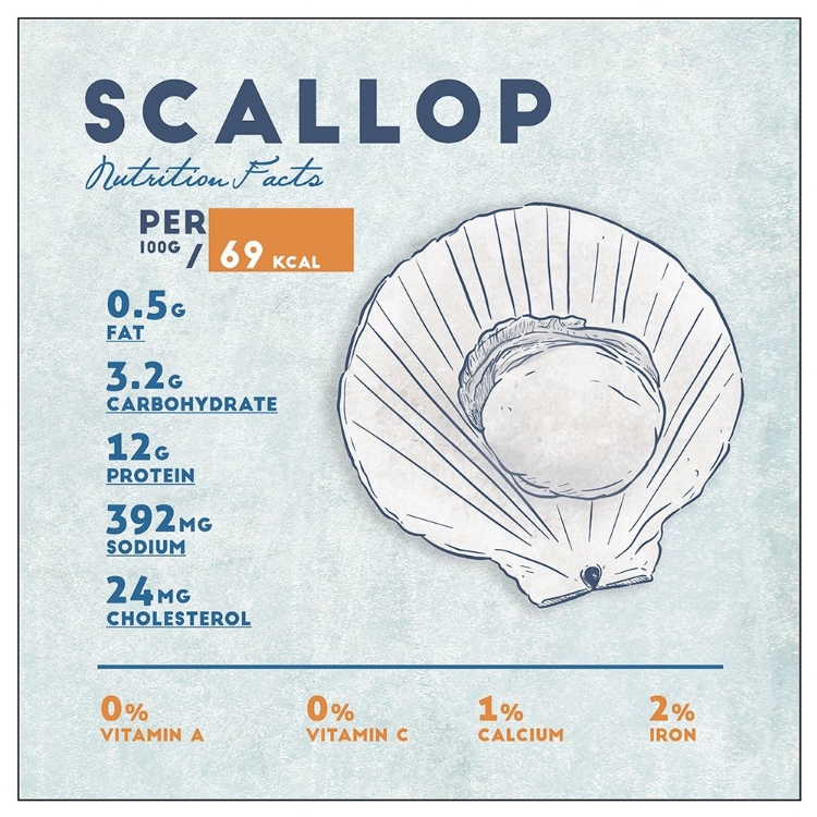 Picture of SCALLOP NUTRITION FACTS