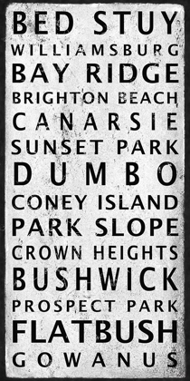 Picture of BROOKLYN DISTRICTS SIGN