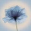 Picture of LAYERED VEIL, BLUE