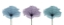 Picture of THREE FLOWERS IN COLOR