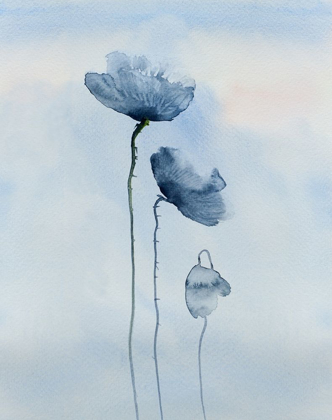 Picture of POPPIES IN BLUE