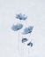Picture of BLUE POPPIES 1 