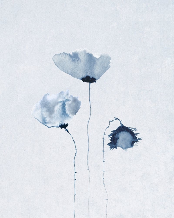Picture of BLUE POPPIES 2