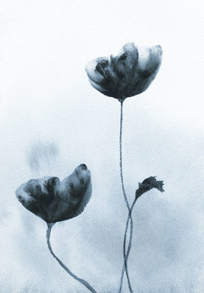 Picture of DEEP INDIGO POPPIES 