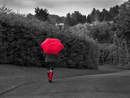 Picture of RED BOOTS AND UMBRELLA