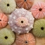Picture of SEA URCHIN GROUP
