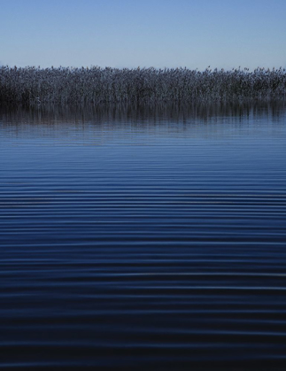 Picture of STILL WATERS II