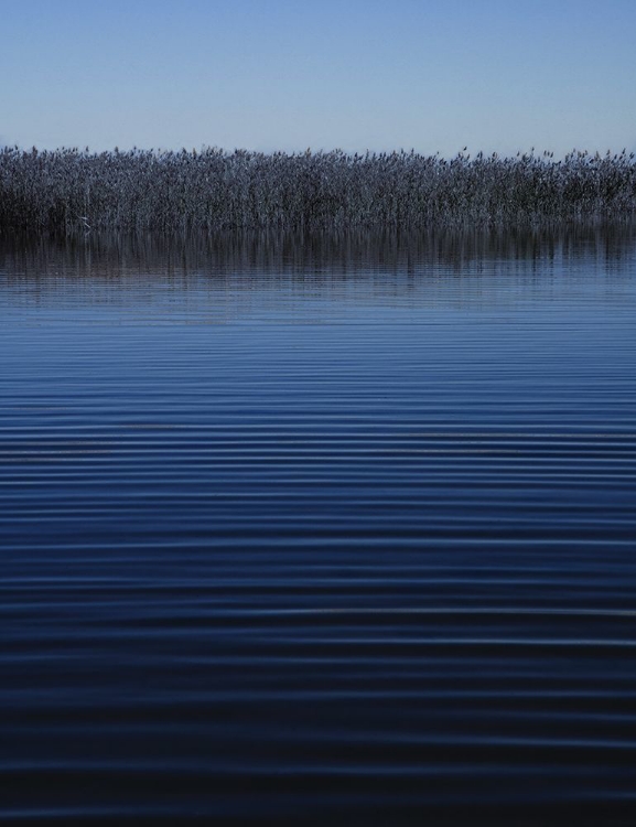 Picture of STILL WATERS II
